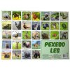 Pexeso Les