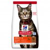 Hill's Science Plan granule pre dospelé mačky s jahňacím a ryžou 2 x 10 kg