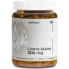 Koralovec Ježovitý 500 mg Wellbear Lion's Mane Pamäť Stres Koncentrácia 60k