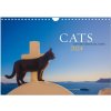 Cats of the Greek Islands (Wall Calendar 2024 DIN A4 landscape), CALVENDO 12 Month Wall Calendar