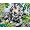 Maľovanie podľa čísel – Biely tiger a dve mláďatá (Howard Robinson), 40 × 50 cm, bez rámu a bez napnutia plátna 8596530060482