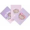 Sada rôznych zápisníkov A6 Pusheen, 32 listov