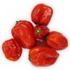 Paprika - chili papričky Habanero červené
