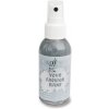 CADENCE Your Fashion Shine, perleťová farba v spreji 100ml, na tmavý textil, šedá