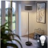 Polux | LED stojacia lampa TUNJA 1xE27/20W/230V pr. 30 cm čierna/taupe | 1xSA2187+1xEG32488