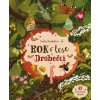 Rok v lese : Drobečci - Emilia Dziubaková