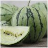 Vodný Melón Saskatchewan - Citrullus lanatus - semená melóna - 6 ks