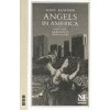 Angels in America 1