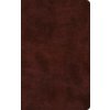 ESV Large Print Thinline Bible (ESV)(Pevná)
