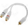 Acv Rca-WH.Y1/2