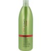 Inebrya Energy Shampoo proti vypadávaniu vlasov 1000 ml