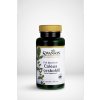 Swanson Indická Kopřiva Coleus Forskohlii 400 mg 60 kapsúl