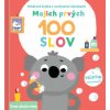Mojich prvých 100 slov Svet okolo mňa