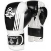 BUSHIDO Boxerské rukavice DBX B-2v3A 12 oz (30-B1-182)