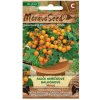 MoravoSeed Semená Paradajkový ker balkón VENUS, oranžový, 40 s