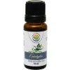 Salvia Paradise Eukalyptus 100% esenciálny olej 10 ml