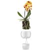Samozavlažovací sklenený kvetináč na orchideu priemer 15cm, eva solo