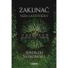 Zaklínač VI Veža lastovičky - Andrzej Sapkowski