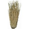 Lucky Reptile Grass Bushes 25-40 cm