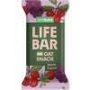 Lifefood Lifebar Oat Snack ovocný BIO 40 g