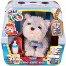 Cobi LITTLE LIVE PETS Moje vysnívané šteniatko Ruffles