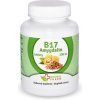 Amygdalin Vitamin B17 20 mg tablety 200 ks