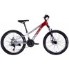 Bicycle AL 24