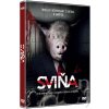 Sviňa