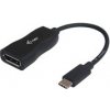 i-tec USB-C Display Port Adapter 4K/60 Hz C31DP60HZP