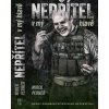 Nepřítel v mý hlavě - Perner Mirek