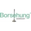 Sací ventil Borsehung B19021 B19021
