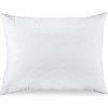 Vankúš 4sleep Vankúš Schon 40 x 60 cm, 300 g, ZIP (S-0088(1))