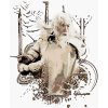 Zuty - Malovaný gandalf (pán prstenů), 40×50 cm, bez rámu a bez vypnutí plátna (8596530237563)