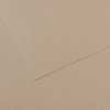 Canson Mi-Teintes 50x65 cm Gris Cansonanelle 122 160 g Farebné papiere