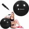 Springos FB0014 GYMNASTICKÁ LOPTA S PUMPIČKOU 65 CM