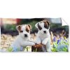 Carbotex Osuška Bráškovej Jack Russell Teriér 70 x 140 cm