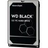 WESTERN DIGITAL WD Black/1TB/HDD/2.5