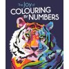 Joy of Colouring by Numbers