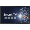 Megasat Camping TV Royal Line IV SMART 24