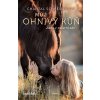 Můj ohnivý kůň – Jízda v polární záři - Chantal Schreiber