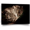 Sablio Obraz Leopard - 90x60 cm