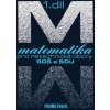 Matematika pro netechnické obory SOŠ a SOU - Emil Calda