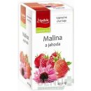 Čaj Apotheke MALINA A JAHODA 20 x 2 g
