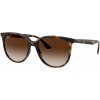 Ray-Ban RB4378 710 13 54