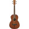 Ibanez PNB14E-OPN