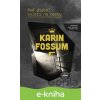 E-kniha Keď diabol svieti na cestu - Karin Fossum