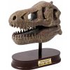 BUKI sada Múzeum lebiek dinosaurus TYRANOSAURUS