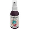 Cadence Textilný sprej baklažánová 100 ml