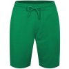 Kraťasy United Colors of Benetton Green 7881295