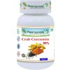 Planet Ayurveda Crab Curcumin 95% 500mg 60 kapsúl